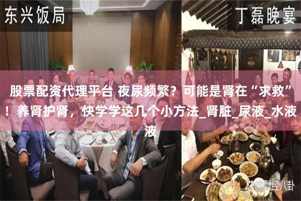 股票配资代理平台 夜尿频繁？可能是肾在“求救”！养肾护肾，快学学这几个小方法_肾脏_尿液_水液