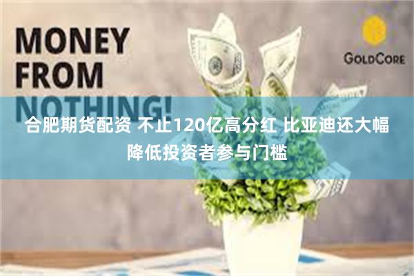 合肥期货配资 不止120亿高分红 比亚迪还大幅降低投资者参与门槛