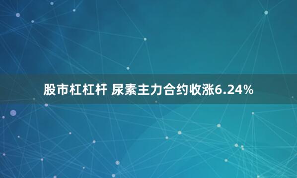 股市杠杠杆 尿素主力合约收涨6.24%