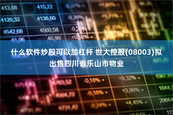 什么软件炒股可以加杠杆 世大控股(08003)拟出售四川省乐山市物业