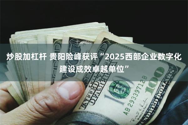 炒股加杠杆 贵阳险峰获评“2025西部企业数字化建设成效卓越单位”