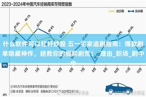 什么软件可以杠杆炒股 五一宅家追剧指南：爆款剧单隐藏神作，拯救你的假期剧荒！_理由_职场_剧中