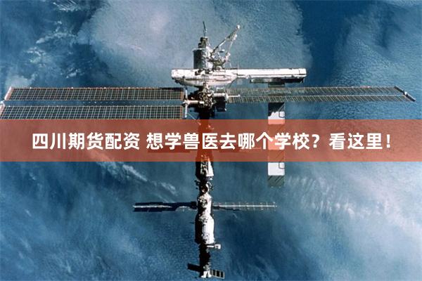 四川期货配资 想学兽医去哪个学校？看这里！