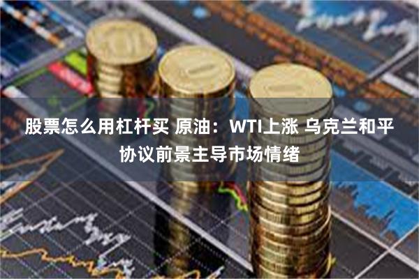 股票怎么用杠杆买 原油：WTI上涨 乌克兰和平协议前景主导市场情绪