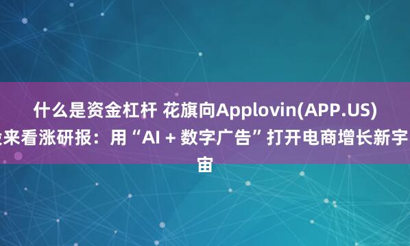 什么是资金杠杆 花旗向Applovin(APP.US)投来看涨研报：用“AI + 数字广告”打开电商增长新宇宙